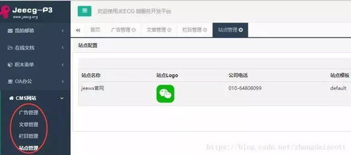 JEECG 首个开源插件诞生 CMS网站插件1.0 发布